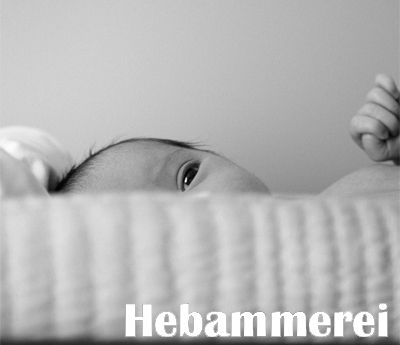images/Menuebilder/05_Hebammerei-weiss.jpg#joomlaImage://local-images/Menuebilder/05_Hebammerei-weiss.jpg?width=400&height=345