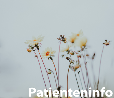 images/Menuebilder/Patienteninformation.png#joomlaImage://local-images/Menuebilder/Patienteninformation.png?width=400&height=345